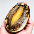Frozen Raw Large Abalone